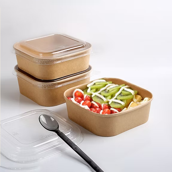 Biodegradable Food Packaging-2